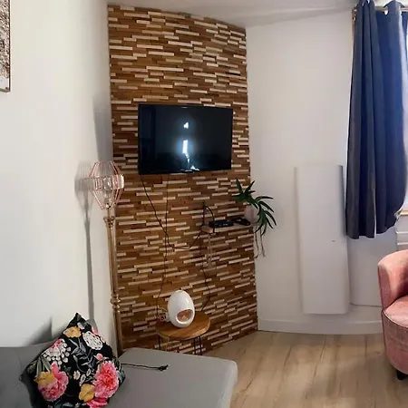 Appartement Studio Cosy Et Spacieux Au Coeur Du Mans